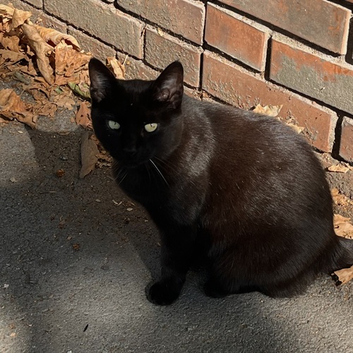 Photo #14042610