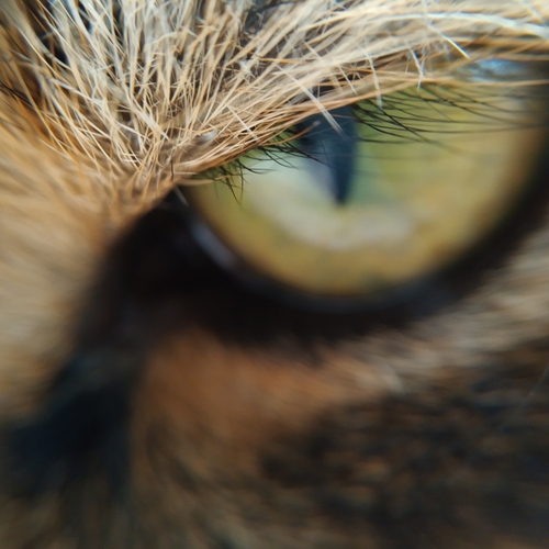 Photo #14042611