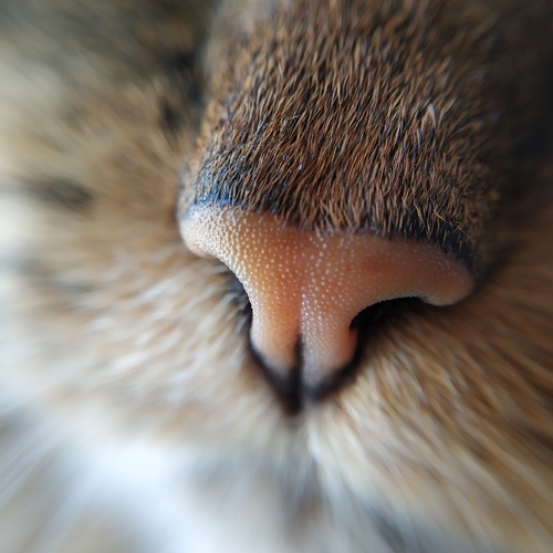 Photo #14042612