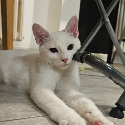 Photo #14042643