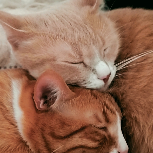 Photo #14042693