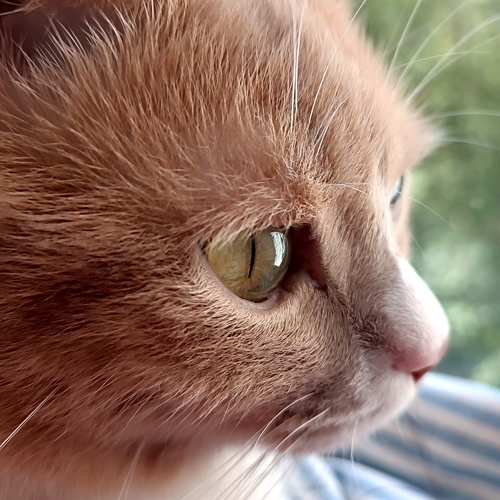 Photo #14042704