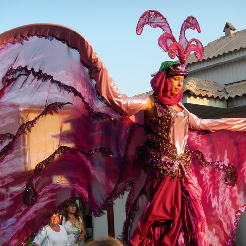 Photo #14042722