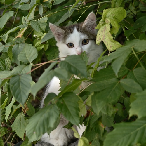 Photo #14042765