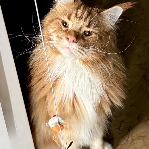 Photo #14042779