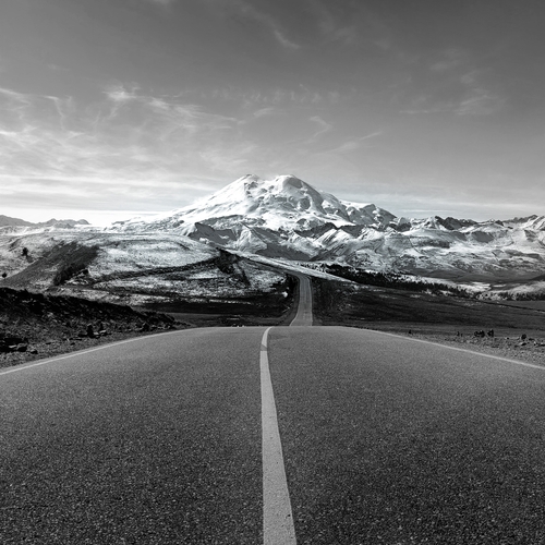 Photo #14042790