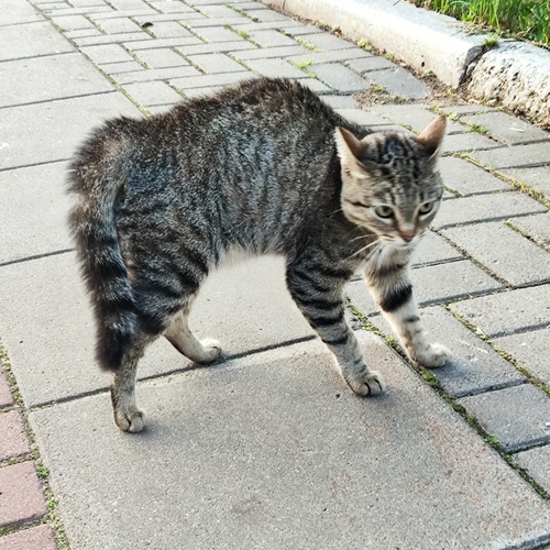 Photo #14042803