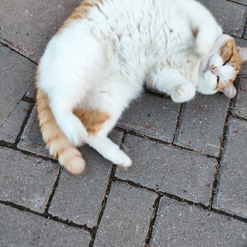 Photo #14042805