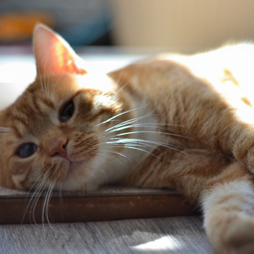 Photo #14042815