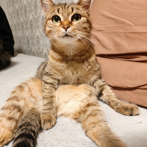 Photo #14042821