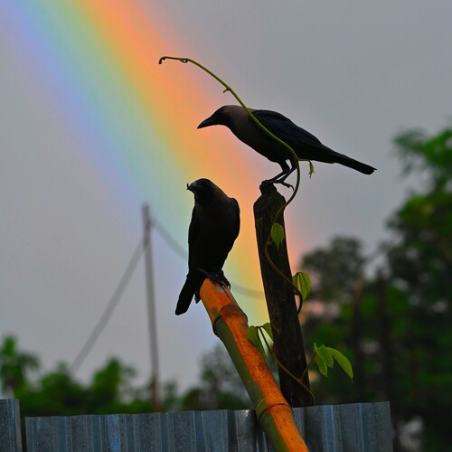 Photo #14042875