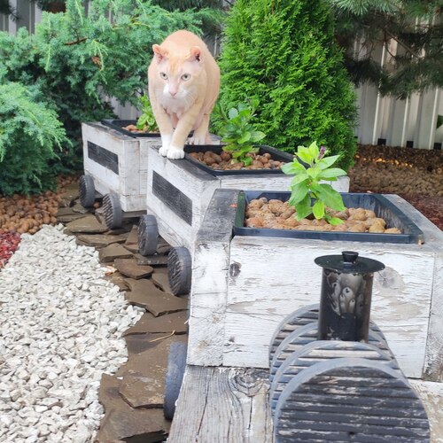Photo #14042885