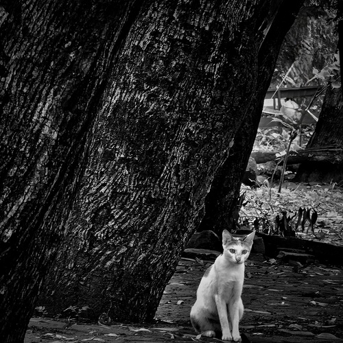 Photo #14042894