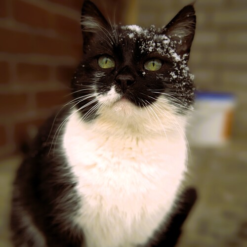 Photo #14042907