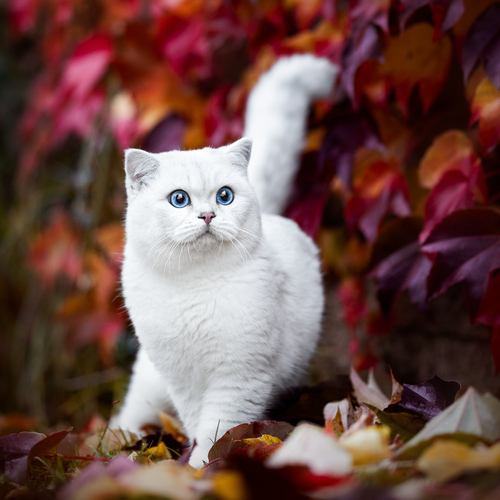 Photo #14042929