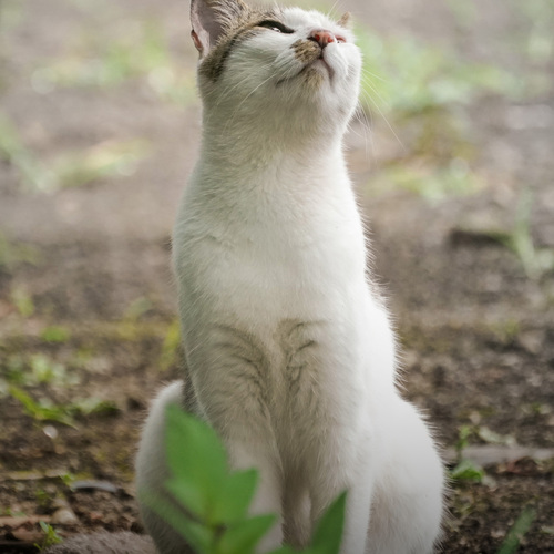 Photo #14042944