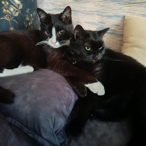Photo #14042967