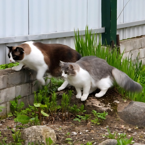 Photo #14043008