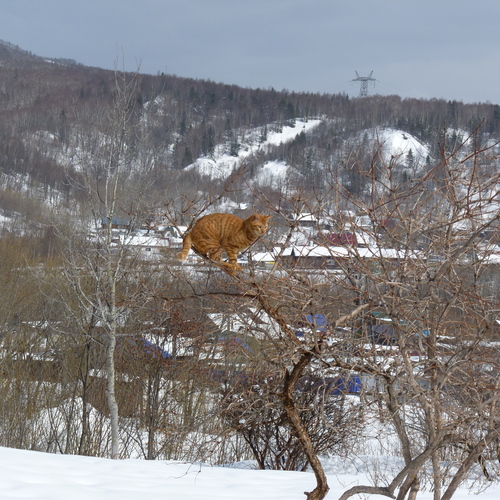Photo #14043124