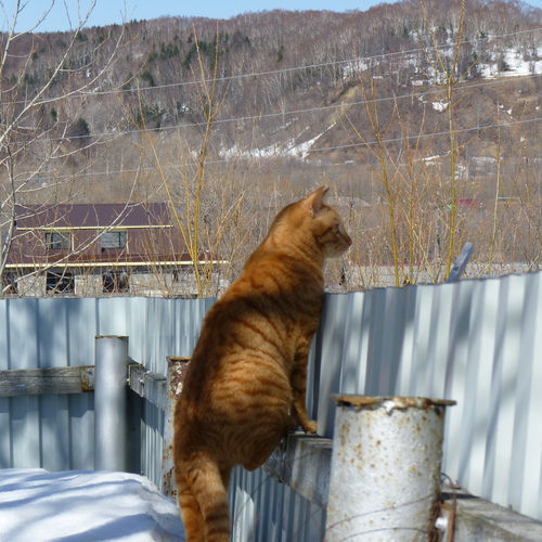 Photo #14043125