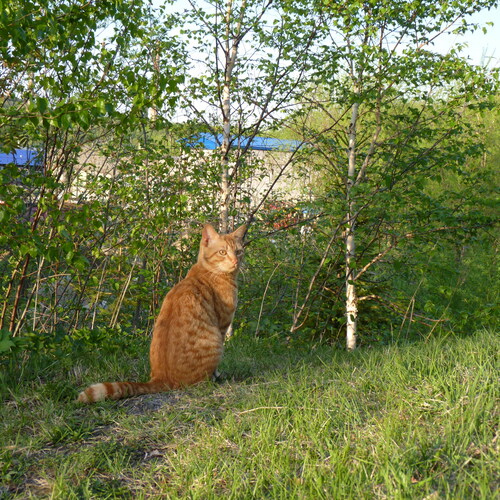 Photo #14043130