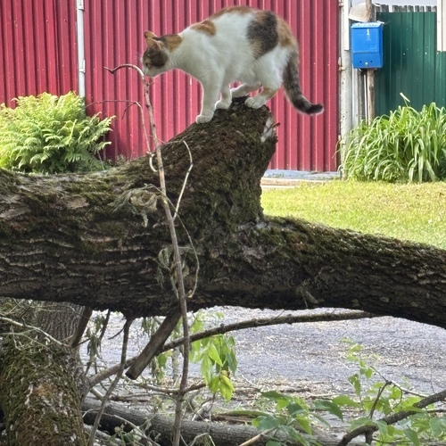 Photo #14043193