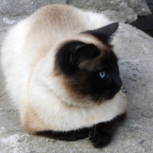 Photo #14043202