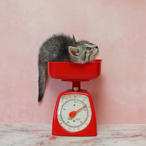 Photo #14043263