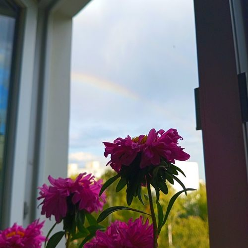 Photo #14043268