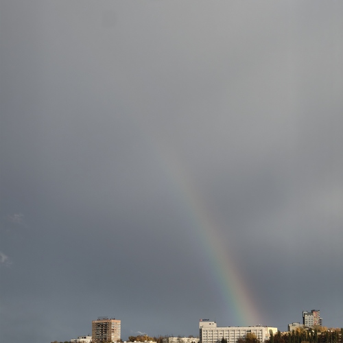 Photo #14043272