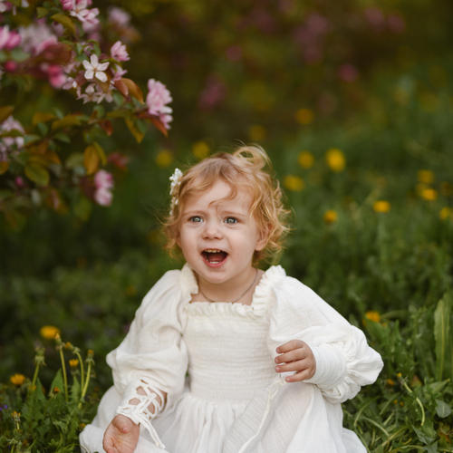 Photo #14043337