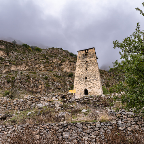 Photo #14043355