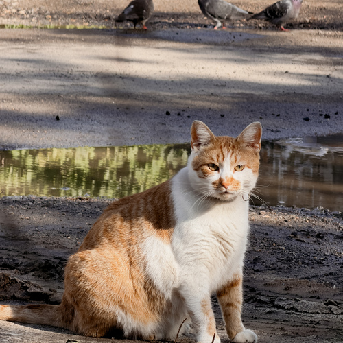 Photo #14043361