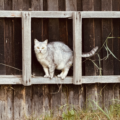 Photo #14043362