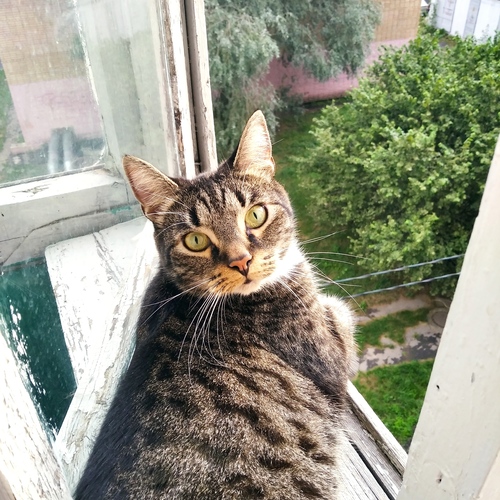Photo #14043470