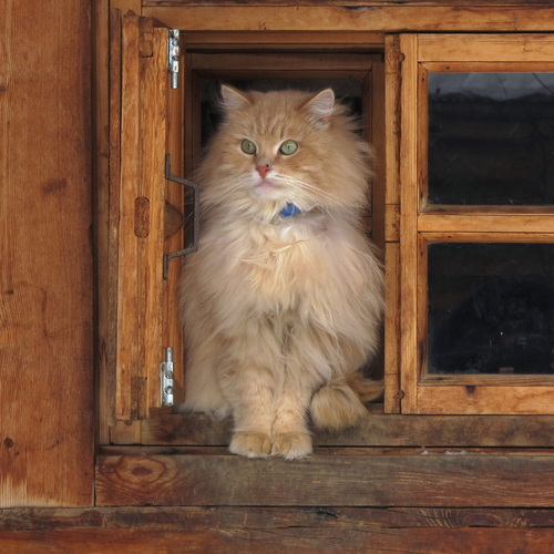 Photo #14043508
