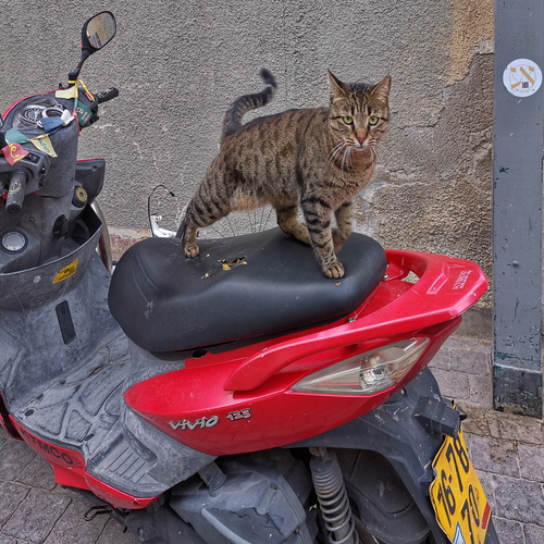 Photo #14043511