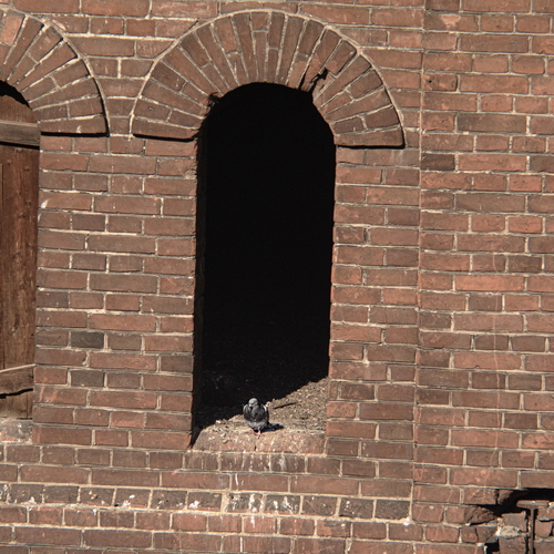 Photo #14043523