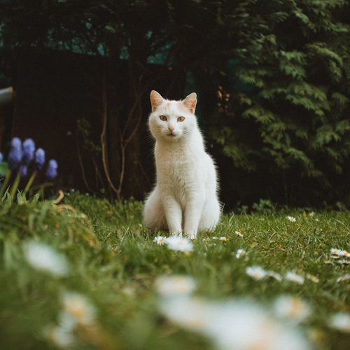 Photo #14043579
