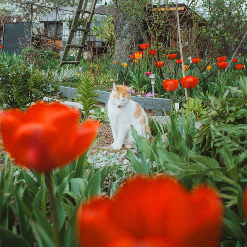 Photo #14043592