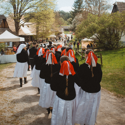 Photo #14043603