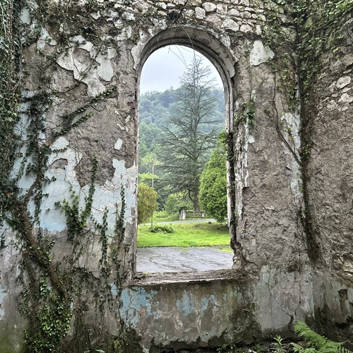 Photo #14043608