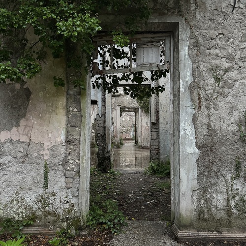 Photo #14043611