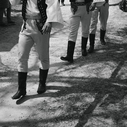 Photo #14043612