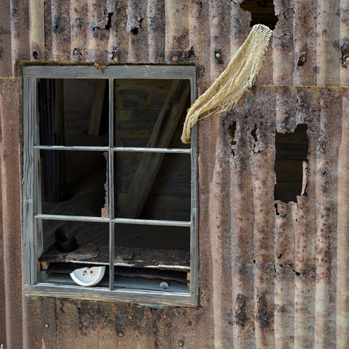 Photo #14043638