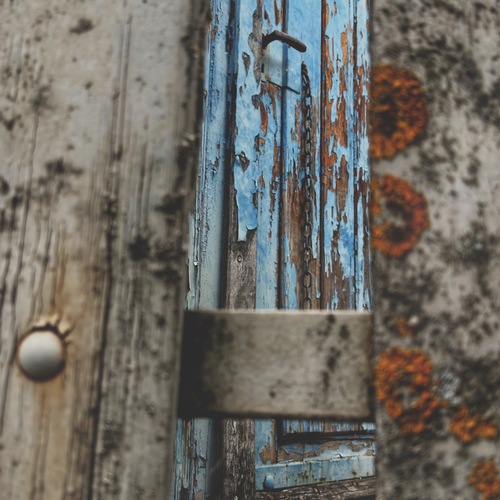 Photo #14043890