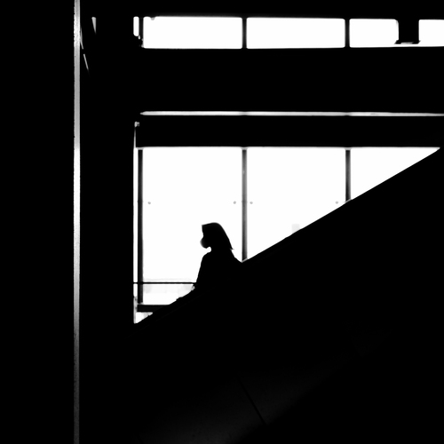 Photo #14043927