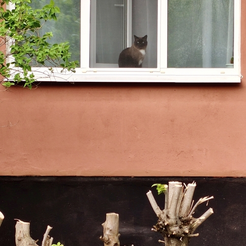 Photo #14043952