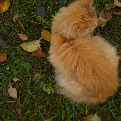 Photo #14043989