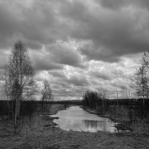 Photo #14043990